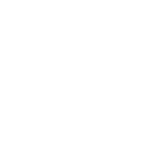 report icon report icon